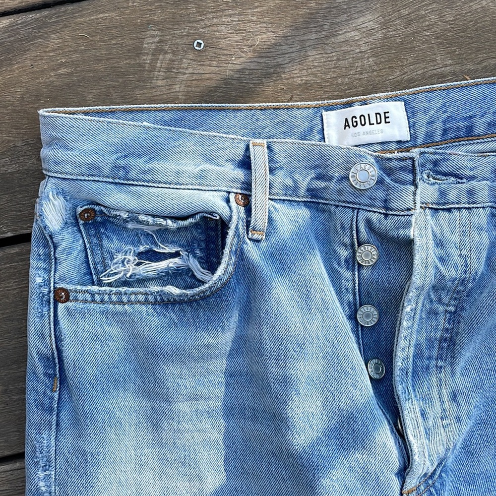 Agolde 90's Loose Fit in Snapshot
